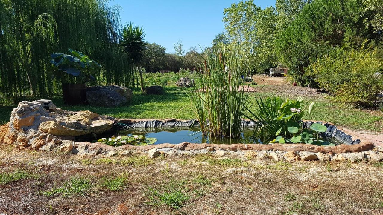 Agriturismo La Barca In Secca Olmedo Luaran gambar