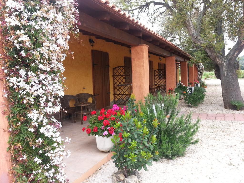 Agriturismo La Barca In Secca Olmedo Luaran gambar